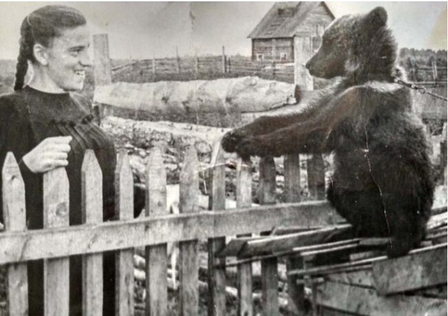 Na-pobachenni-svitlyna-z-vedmedem-u-tajzi